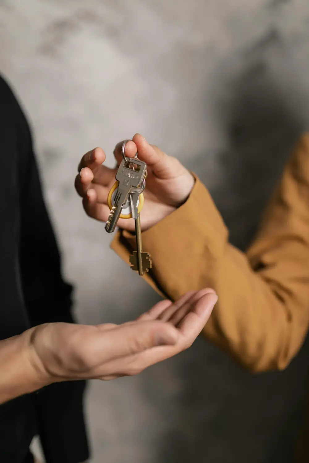 Immobilienmakler Erfurt